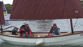 VANNES | ⛵ Semaine du Golfe 2019 Bateaux de Travail - VANNES Télé