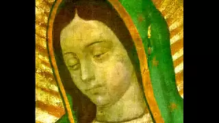 The Amazing and Miraculous Image of Our Lady of Guadalupe