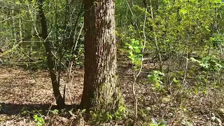 Natuur Loosdrecht Hilversum