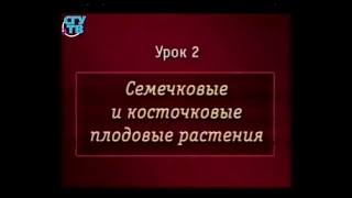 Пищевые растения. Урок 2.2. Семечковые и косточковые плодовые растения