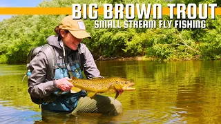 Small Stream Brown Trout Fly Fishing - Beauty & Fun in the Willows! Sight-Fly Fishing Brown Trout