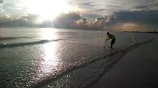 Beach Seine netting gulf coast Tampa Bay FL