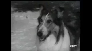 Lassie - Episode #378 - "Day of Devotion" - Season 11, Ep. 26 - 03/14/1965