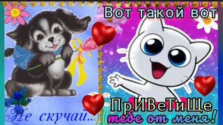 ☀️ Вот такой вот ПРИВЕТИЩЕ тебе от меня 💙  Не скучай и УЛЫБНИСЬ~ Музыкальный весёлый приветик 🎶