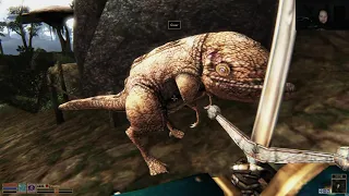 Random Morrowind Stream 3