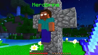 HO EVOCATO HEROBRINE NEL MIO MONDO - Minecraft ITA