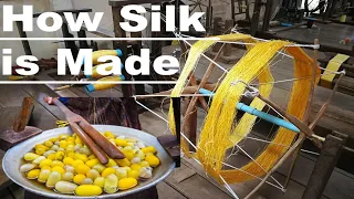 HOW SILK IS PRODUCED from the breeding of SILKWORMS🐛| How SILK THREAD IS PRODUCED