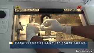 Tissue Processing Steps for Frozen Samples