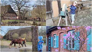 В деревню посреди Гамбуга. Наша жизнь на севере Германии. Поздние переселенцы