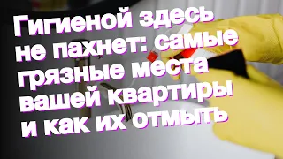 Гигиеной здесь не пахнет: самые грязные места вашей квартиры и как их отмыть