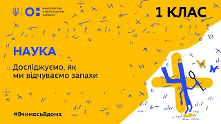 1 клас. Наука. Досліджуємо, як ми відчуваємо запахи (Тиж.4:ЧТ)