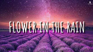 Flower In The Rain - Jaci Velasquez (Lyrics Video)