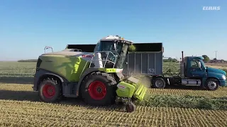 CLAAS | PICK UP. Benefits for the grass harvest.