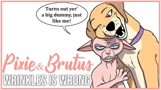 Mr. Wrinkles Is A Smarty Pants | Pixie and Brutus Comic Dub