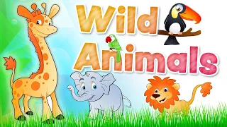 Kids vocabulary - Wild Animals - Learn English for kids - English educational video