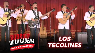 Los TECOLINES están de vuelta | Noche, Boleros y Son con Rodrigo De La Cadena