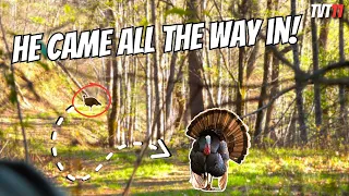 Mountain GOBBLER comes ALL THE WAY IN! - North Carolina Public Land Turkey Hunting