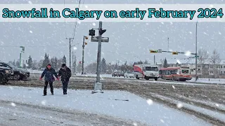 Snowfall in Calgary Alberta Canada on early February 2024 #Snowfall #canada #Calgary #alberta