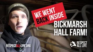 Bickmarsh Hall farm - Follow up visit.
