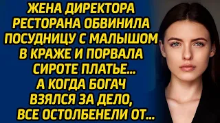 Жена директора ресторана обвинила посудницу с малышом в краже и порвала сироте платье… А когда богач