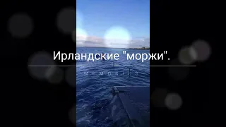 Ирландские "моржи". Люди купаются круглый год. Ирландское море. Дублинский залив. Жизнь в Ирландии