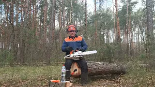 Stihl MS 361 - реабилитация.