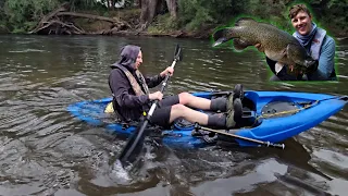 His Kayak Sank - Murray Cod Fishing FRENZY