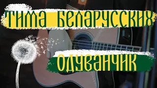 Тима Белорусских - Одуванчик КАВЕР | Live