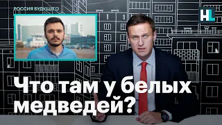 Навальный о последних новостях о Руслане Шаведдинове