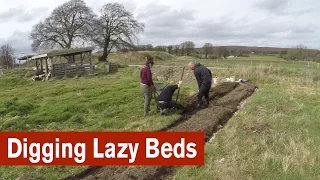 Digging Lazy Beds to Start a Garden