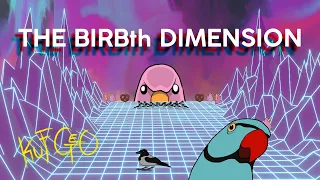 THE BIRBth DIMENSION | kufgeo