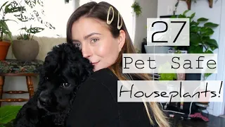 25 Non-Toxic to Pets Houseplants | Pet Friendly Indoor Plants!