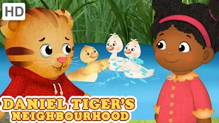 Daniel Tiger 🐯🐕‍🦺 Taking Care of Animals and Pets 🐿️ Cute Animal Clip Compilation 🧸📺 Videos for Kids