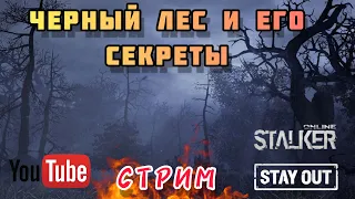 STAY OUT|STALKER ONLINE: ЧЕРНЫЙ ЛЕС И ЕГО СЕКРЕТЫ.