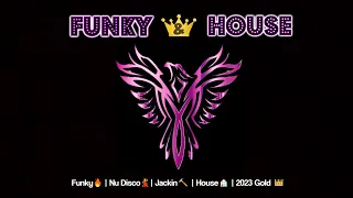 Funky & Disco House Mix  👑 2023 Gold Trax 👑