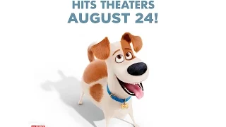 Travelife Magazine presents THE SECRET LIFE OF PETS