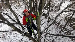 New Apprentice: The First Climb... with Kendal