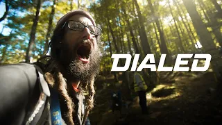 DIALED S5-EP48:  Does Snowshoe have the best fans in downhill??  | FOX