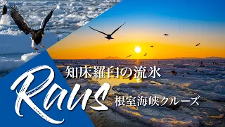 北海道 知床羅臼の流氷(根室海峡クルーズ)世界遺産・知床流氷・オオワシ・オジロワシ・国後島からの日の出・ドローン撮影・流氷クルーズ・知床流氷【4K】