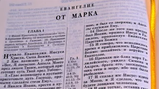 Библия. Евангелие от Марка 1-16 глава. Новый Завeт (читает Ярл Пейсти)