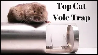 TopCat Vole/Mouse Trap From Switzerland. The Best Vole Trap I Have Ever Tested. Mousetrap Monday