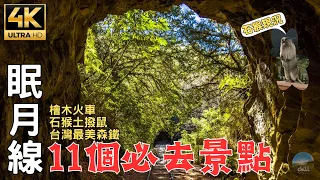 In-depth tour of Taiwan's Alishan Mianyue Line Railway in 2024
