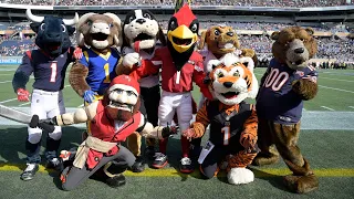 Ranking NFL Mascots