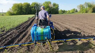 Оприскування гербіцидом картоплю Стомп 330 по картоплі. Мототрактор і саморобний оприскувач.