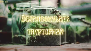 Decarboxylation of tryptophan with turpentine and spearmint oil