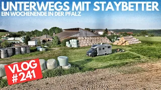 #241 - Wir  testen Staybetter in der Pfalz - Übernachten auf dem Bauernhof