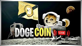 *Warning* Dogecoin Holds Position | BTC Rejected | What Next? | Dogecoin News