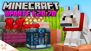 EVERYTHING in the Minecraft 1.20.70 Update!