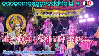 Mar Mayura Chulia kahi Galure#ମର୍ମୟୂରଚୁଲିଆକାହିଁଗଲୁରେ#Krushnagurubadpiplipali