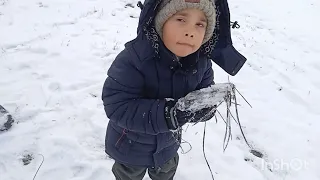 прогулка в начале декабря